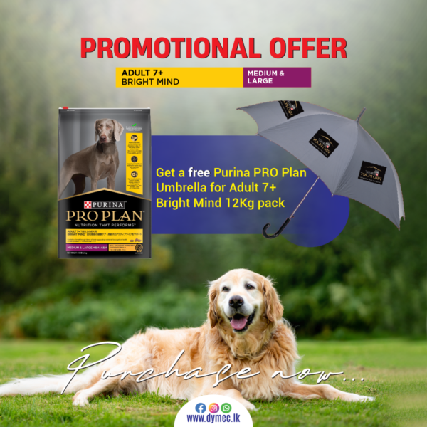 Promotion 01