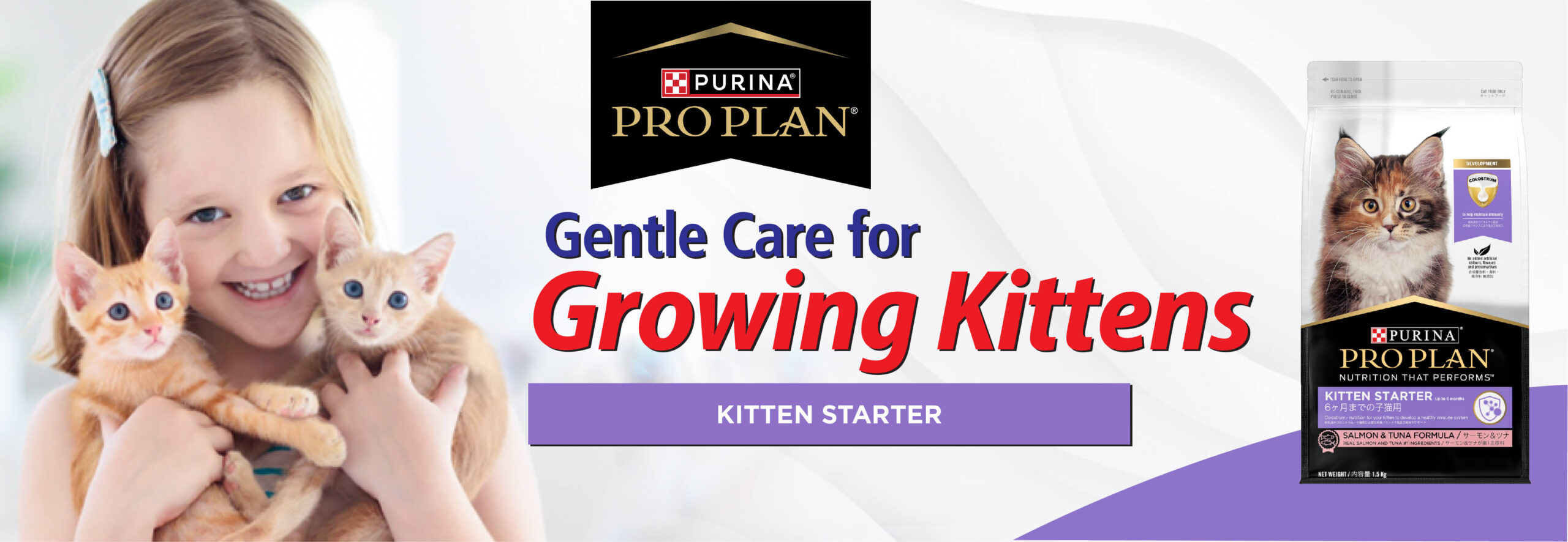 Kitten Starter Slide-01